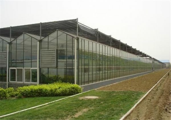 山東智能溫室大棚廠家
