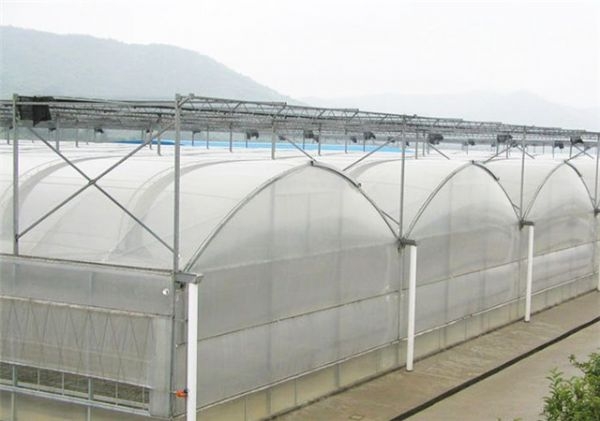 山東連棟薄膜大棚建設(shè)廠家