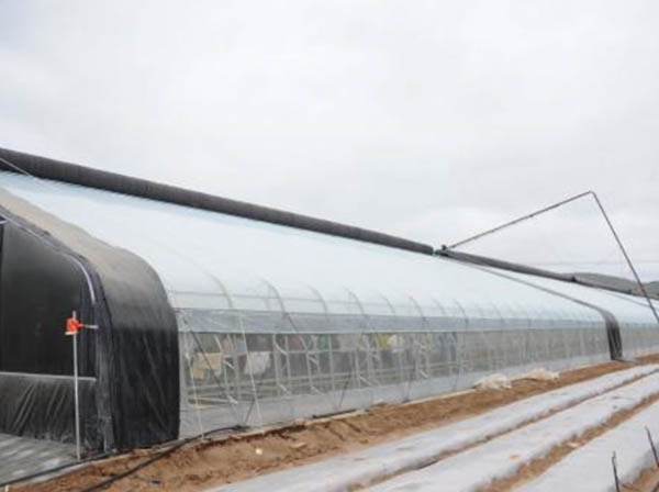山東日光溫室大棚施工廠家