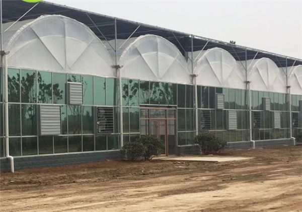 山東連棟薄膜大棚建設廠家