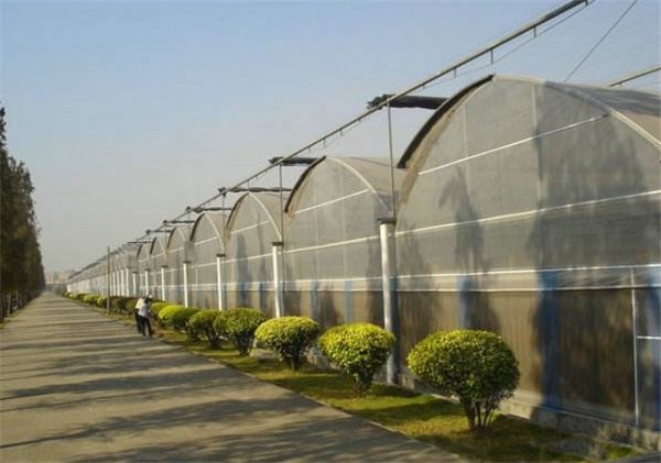 山東連棟薄膜大棚建設(shè)廠家