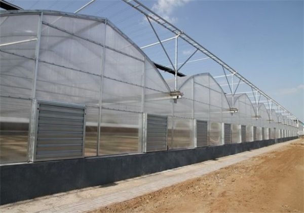 山東連棟薄膜大棚建設(shè)廠(chǎng)家