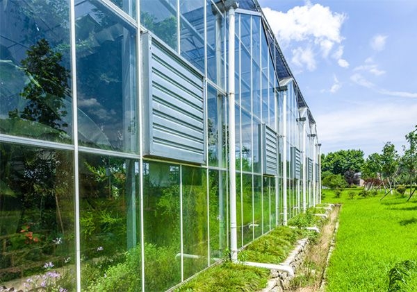 山東溫室大棚廠家