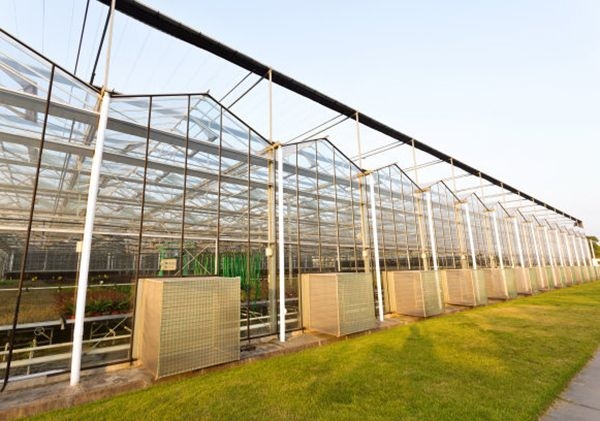 山東玻璃溫室廠家