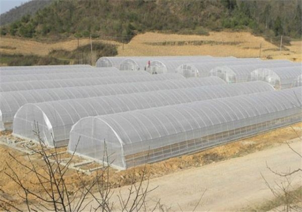 山東溫室大棚廠家