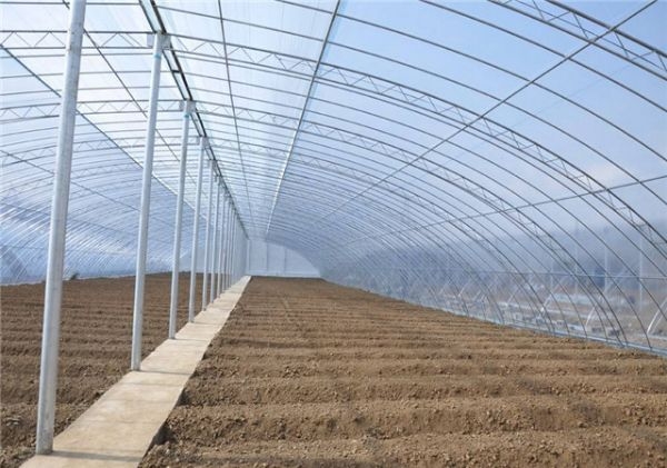 山東溫室大棚廠家