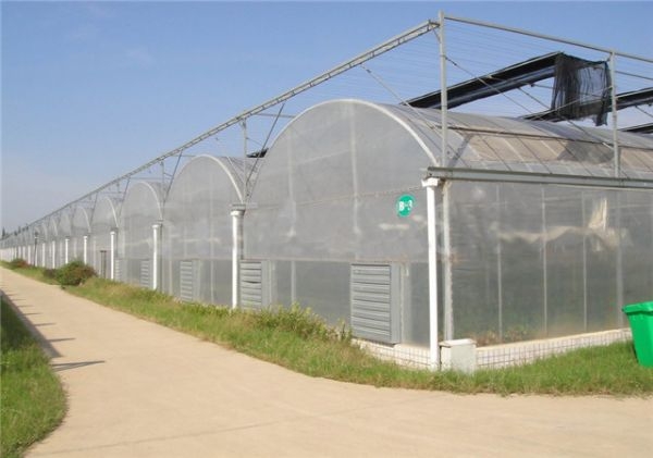 山東連棟薄膜大棚建設廠家