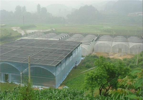 山東溫室大棚廠家