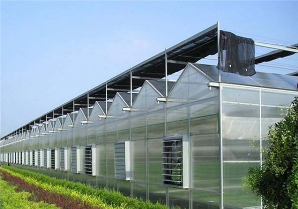 山東溫室大棚廠家