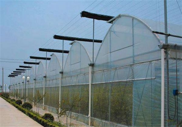 山東連棟薄膜大棚建設(shè)廠家