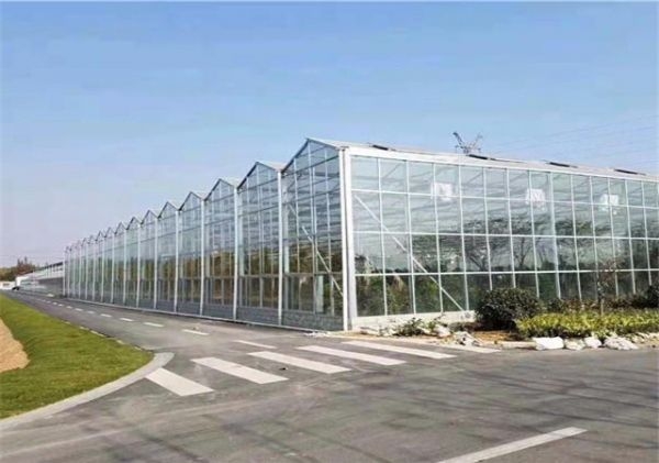 山東溫室大棚廠家